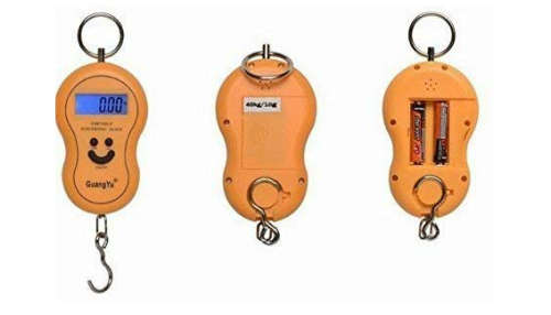 Portable electronic scale