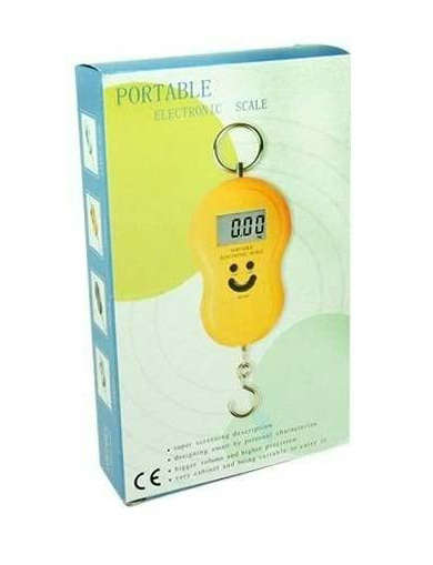 Portable electronic scale