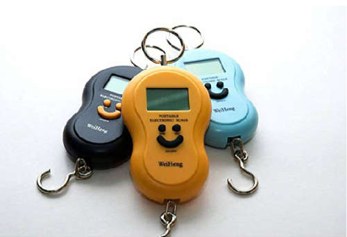 Portable electronic scale