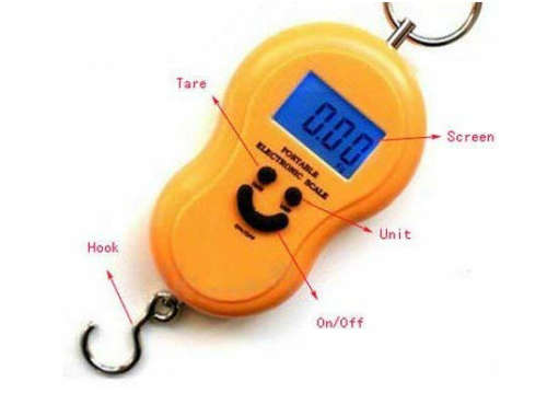 Portable electronic scale