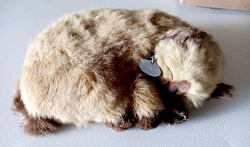 Perfect Petzzz Breathing Cat