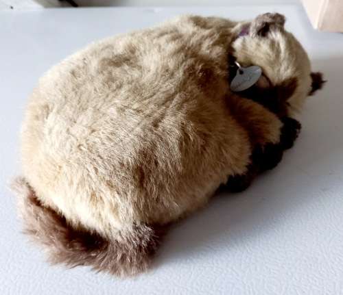 Perfect Petzzz Breathing Cat