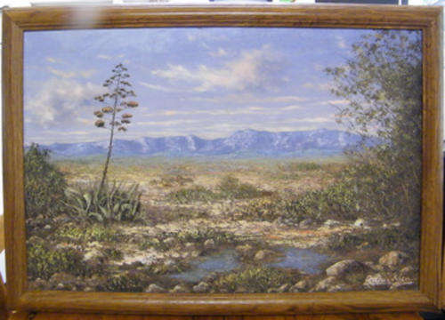 Arthur Klein - Original Oil on Canvas, laid on Board (84x59cm) - Landscape with Aloes