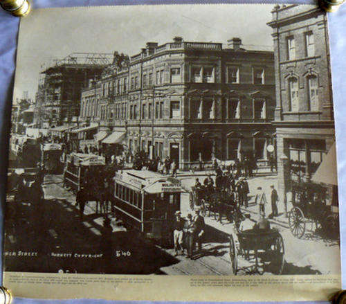 Large Print (43x39cm) of 1897 Photo - Horse Trams in Commissioner Str, JHB - R1 N/R!