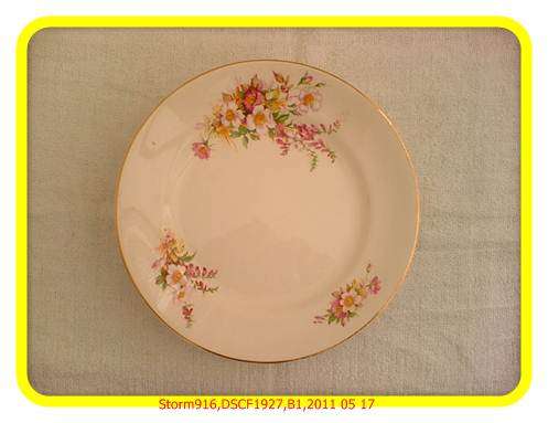 Royal Falconware: Briardale Collection. Dinner Plate.