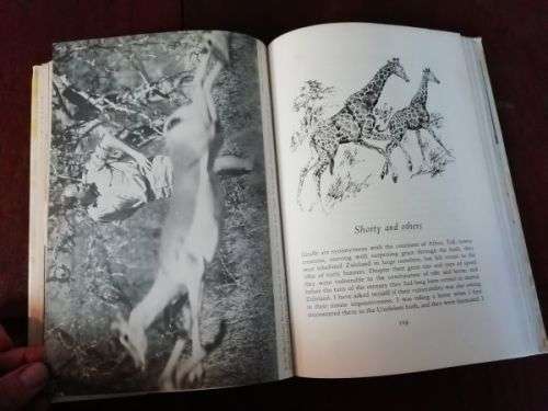 BUSHLIFE OF A GAME WARDEN - Nick Steele