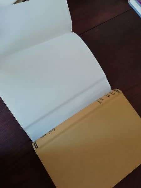 GREAT DAYS - Frank Johnson (Rhodesiana Reprint Library)