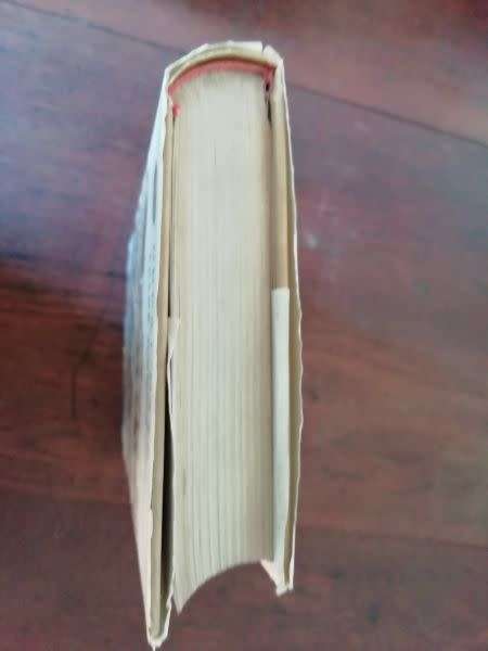 GREAT DAYS - Frank Johnson (Rhodesiana Reprint Library)