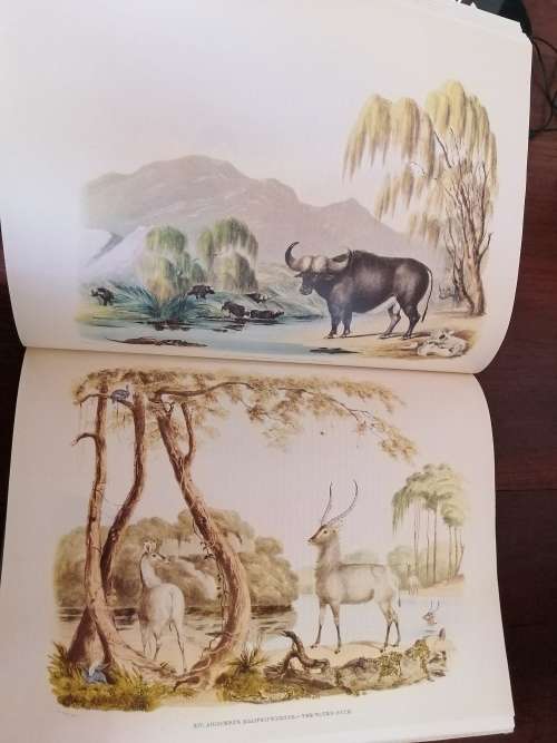 PORTRAITS OF GAME AND WILD ANIMALS OF SOUTHERN AFRICA - Captain w Cornwallis Harris