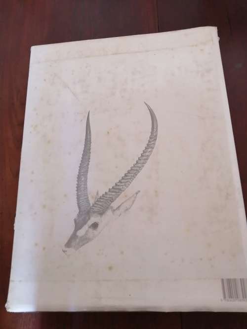 PORTRAITS OF GAME AND WILD ANIMALS OF SOUTHERN AFRICA - Captain w Cornwallis Harris