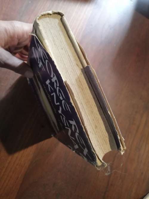 GEORGE REX OF KNYSNA - Sanni Metelerkamp