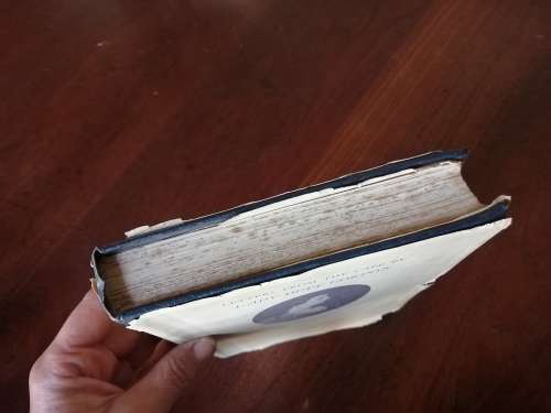 LETTERS FROM THE CAPE BY LADY DUFF GORDON - Annotated by Dorothea Fairbridge