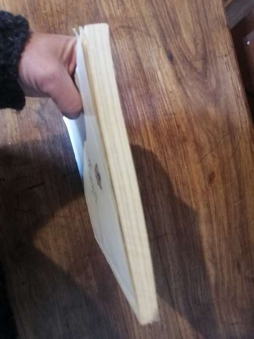 THIS IS PORT ELIZABETH! - Publicity brochure on PE 1965