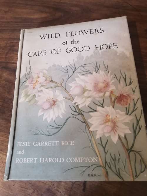 WILD FLOWERS OF THE CAPE OF GOOD HOPE - Elsie Garrett Rice and Robert Harold Compton