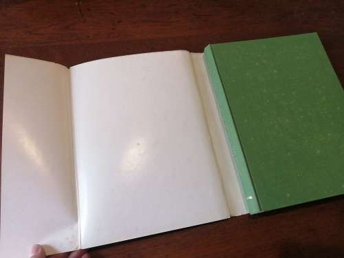 WHO REALLY DISCOVERED SOUTH AFRICA? - Jose Burman