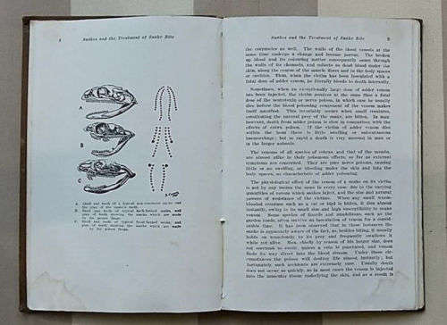1st Edition Fitzsimons 'Snakes' (1929) and Original Fitzsimons Snake Bite Tin