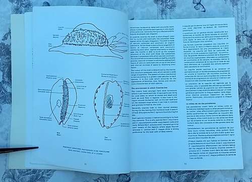 Cowries of Mauritius by Boizot, Desjardins and Chakowa