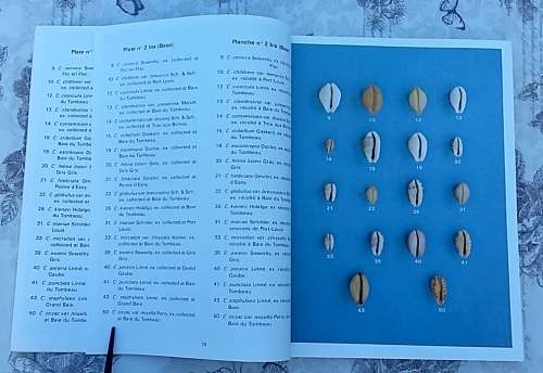 Cowries of Mauritius by Boizot, Desjardins and Chakowa