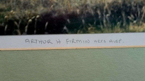 TWO ORIGINAL Hand-coloured Arthur Firman Photographs of Kenya Circa. 1950s