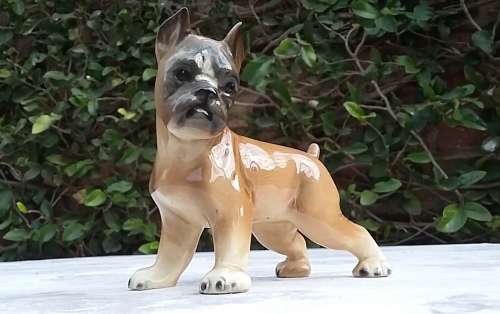 Adorable Porcelain Figure of a Boxer Dog