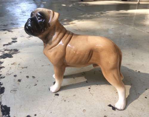Scarce Ceramic Figure of Boerbull Dog