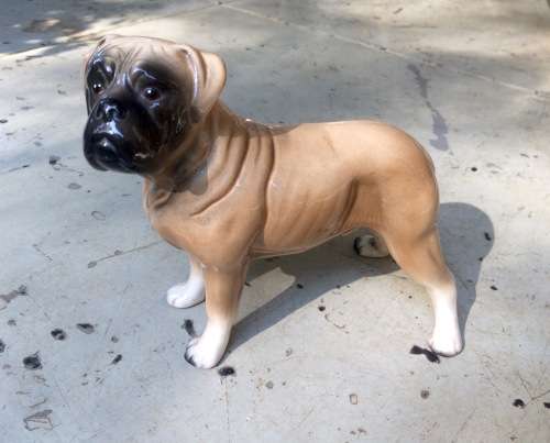Scarce Ceramic Figure of Boerbull Dog