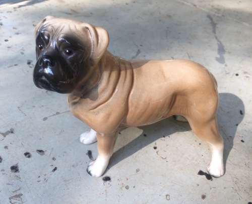 Scarce Ceramic Figure of Boerbull Dog