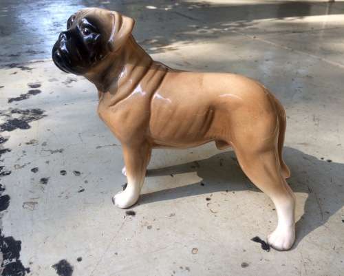 Scarce Ceramic Figure of Boerbull Dog