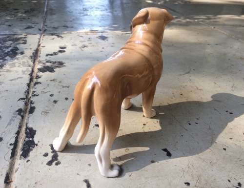 Scarce Ceramic Figure of Boerbull Dog