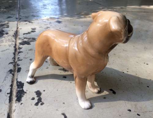 Scarce Ceramic Figure of Boerbull Dog