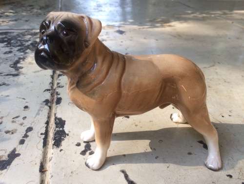 Scarce Ceramic Figure of Boerbull Dog