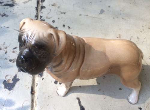 Scarce Ceramic Figure of Boerbull Dog