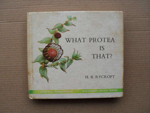 WHAT PROTEA IS THAT? BY H.B. RYCROFT (FREE POSTAGE)