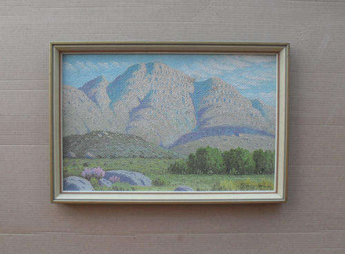 SUNLIT HILLS DISTRICT GRAAFF REINET BY AJ SWANEPOEL (FREE POSTAGE)(VOLSCHENK)