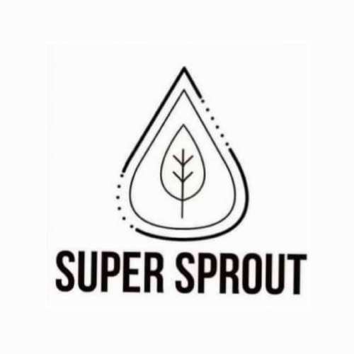  AMISH PASTE TOMATO   x 15 organic seeds