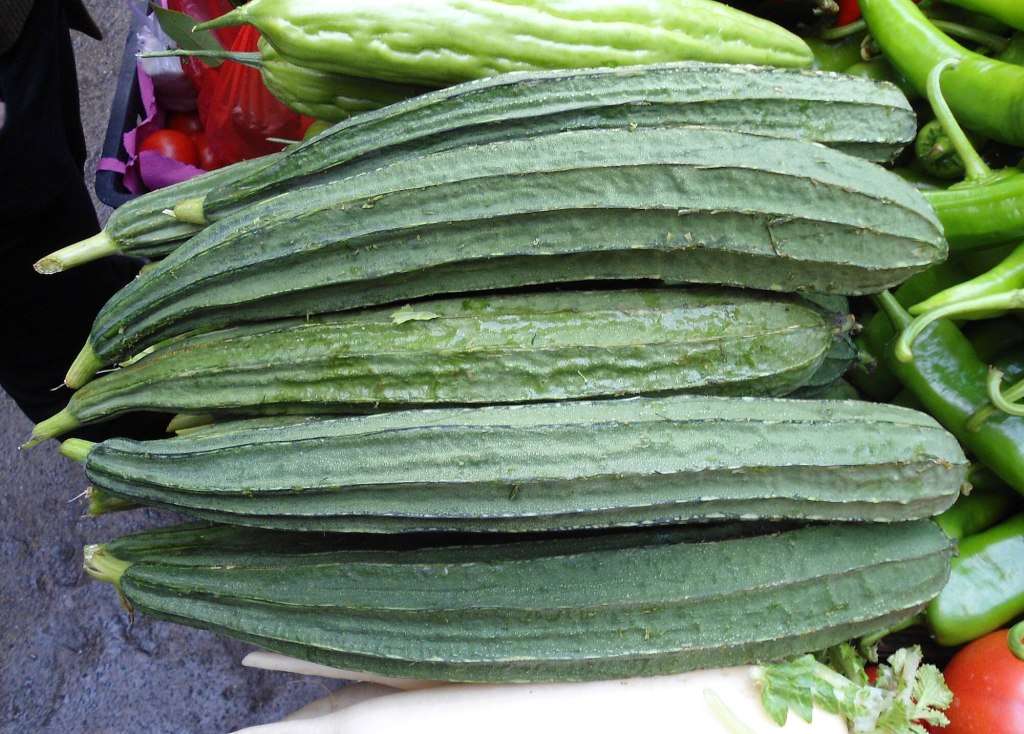 LOOFAH/LUFFA/SPONGE GOURD x 10 seeds