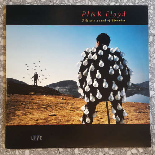PINK FLOYD - DELICATE SOUND OF THUNDER