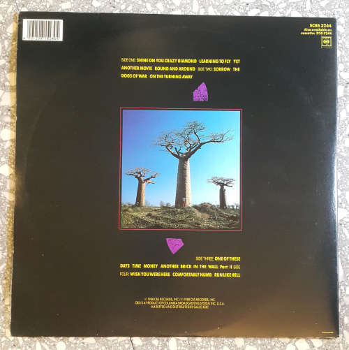 PINK FLOYD - DELICATE SOUND OF THUNDER