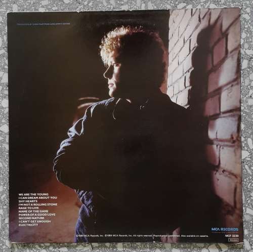 DAN HARTMAN - I CAN DREAM ABOUT YOU Vinyl, LP, Album Country: UK Released: 1984