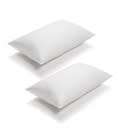 Duck Feather Pillows - Set of 2