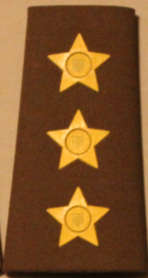 SADF Nutria Captain Shoulder rank