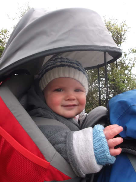 Baby Carrier ~ Deuter Kid Comfort 2 Synergy Carrier