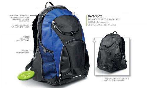Pinnacle Laptop Backpack