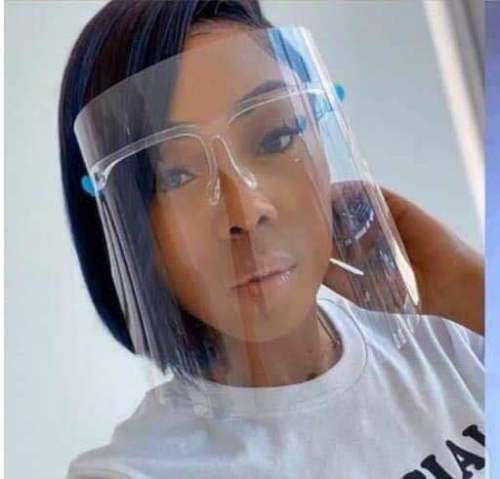 Face shields (Bulk Price for 10 pieces)