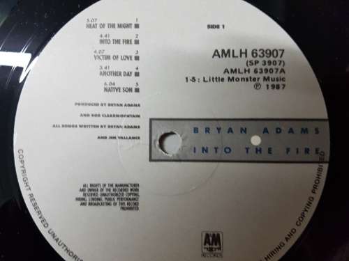 Bryan Adams  Into The Fire