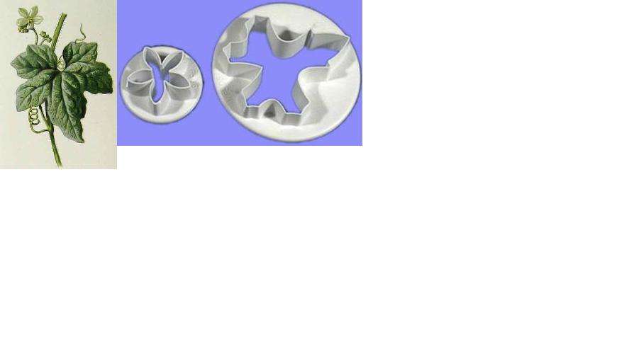 White Bryony  fonadnt cutter