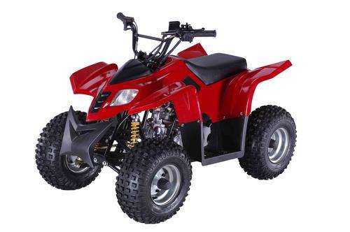 110cc Kiddies Quad