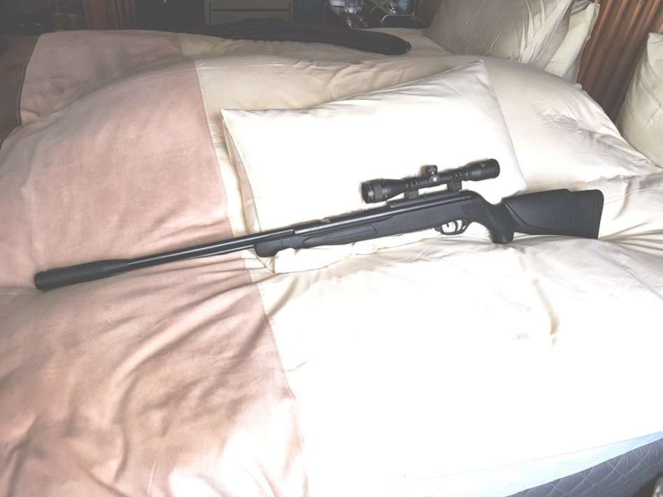 GAMO CFX 4.5MM AIR RIFLE WITH NIKKOSTERLING MOUNTMASTER 4X32 SCOPE