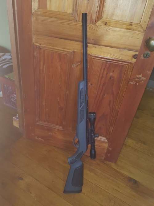 GAMO VIPERSKEET 0.177 / 4.5mm AIRRIFLE FITTED WITH NIKKO STIRLING GOLD CROWN 4 X 32 SCOPE