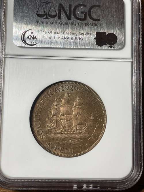 1929 Penny NGC GRADED MS62 BN